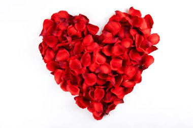 Romantik mutlu sevgililer günü düğün davetiyesi, kadın gün kavramı kartpostal. Beyaz arka plan koyu kırmızı, kırmızı, koyu kırmızı gül yaprakları ile kaplı. Üstten görünüm, yakın, uzay, alay kopyalayın.
