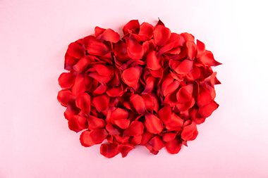 Romantik mutlu sevgililer günü düğün davetiyesi, kadın gün kavramı kartpostal. Beyaz arka plan koyu kırmızı, kırmızı, koyu kırmızı gül yaprakları ile kaplı. Üstten görünüm, yakın, uzay, alay kopyalayın.