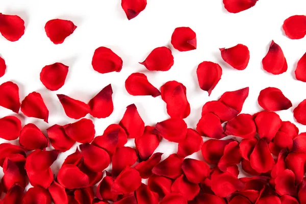 Romantyczny Szczęśliwy Walentynki Karty Okolicznościowe Wesele Zaproszenie Koncepcja Dzień Kobiet — Zdjęcie stockowe