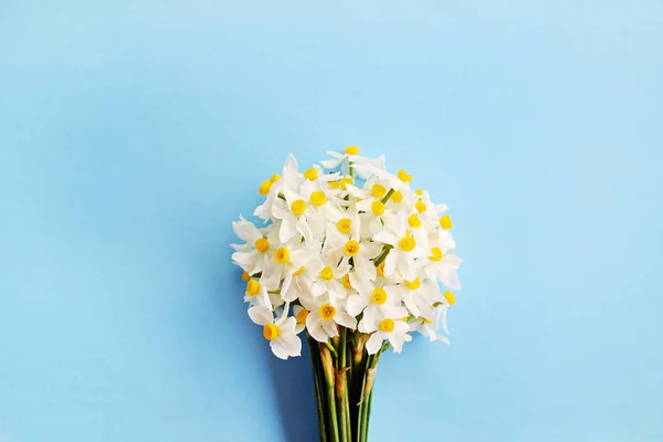 黄色の白い水仙 水仙ジョンキル花クローズ アップ コピーのテキストのための領域の多くの明るい青色の背景で 母の日 日女性の日 バレンタイン グリーティング カードの空白のテンプレート — ストック写真