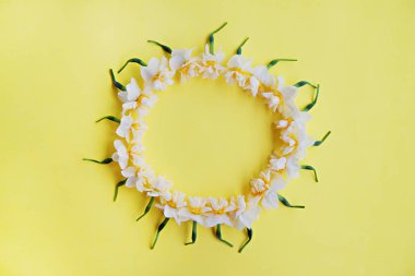 Sarı beyaz nergis, nergis, Zerrin çiçek kopya alanı metin için bir sürü parlak sarı zemin üzerine kapatalım. Anneler günü, 8 Mart Kadınlar günü, Sevgililer günü tebrik kartı için boş şablon