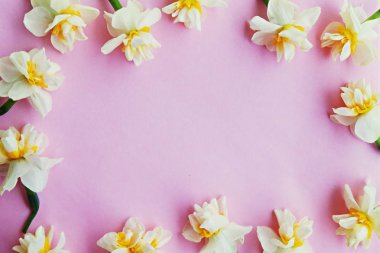 Sarı beyaz nergis, nergis, Zerrin çiçek kopya alanı metin için bir sürü parlak sarı zemin üzerine kapatalım. Anneler günü, 8 Mart Kadınlar günü, Sevgililer günü tebrik kartı için boş şablon