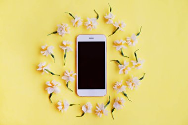 Beyaz-Sarı nergis çiçek çiçek demet boş ekran hareket eden smartphone için metin kopya alanı çok parlak sarı zemin üzerine hediye olarak dağılmış. Üstten Görünüm, düz yerde kal, yakın çekim.