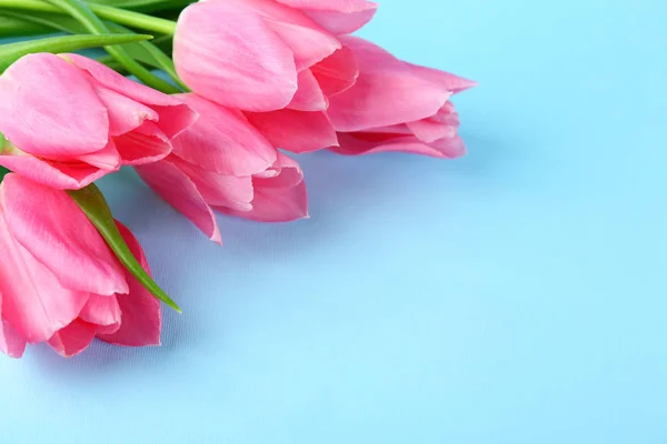 Концепція весняного настрою. Аранжування з рожевими квітами з великою кількістю місця для тексту . — стокове фото