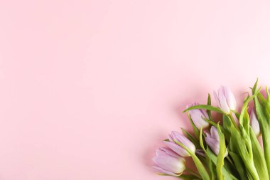 Mor çiçekler ile minimal tarzda çiçek kompozisyon.