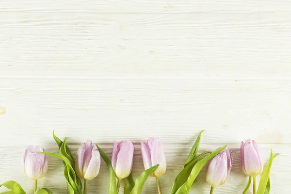 Florale Komposition im minimalistischen Stil mit lila Blüten. — Stockfoto