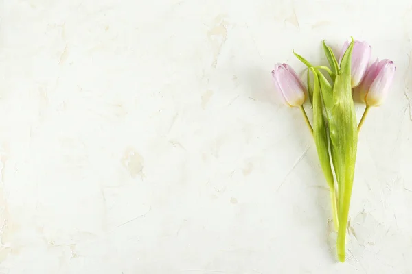 Florale Komposition im minimalistischen Stil mit lila Blüten. — Stockfoto