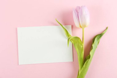 Tebrik kartı ile çiçek kompozisyon.