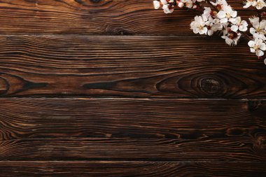 Taze çiçeklerle meyve ağacı dalı.