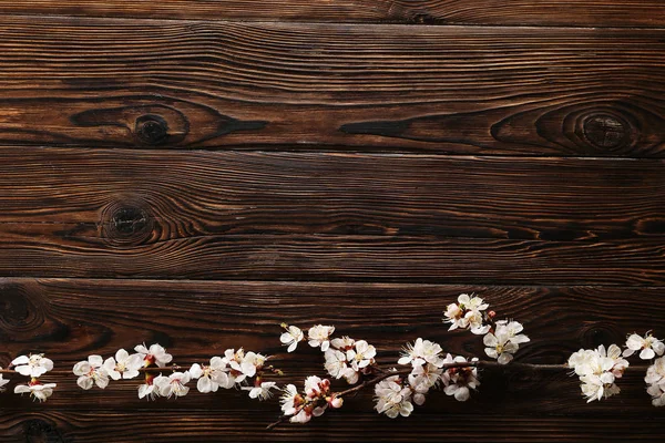 Rama de árboles frutales con flores frescas . — Foto de Stock