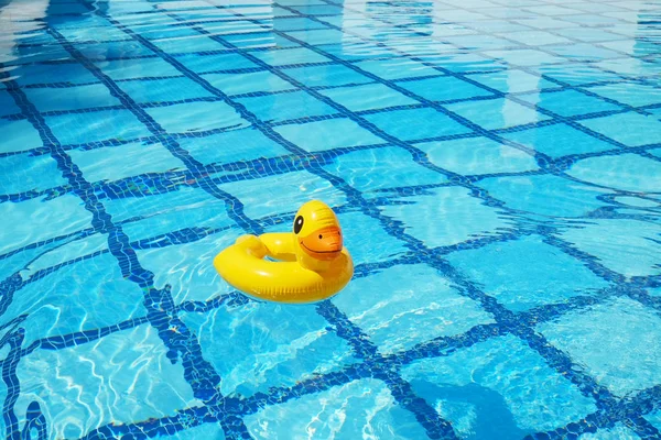 Empty pool with rubber duck ring.