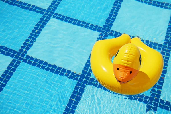 Empty pool with rubber duck ring.