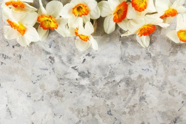 Bahar ruh kavramsal görüntü. Parlak arka planda mevsimlik çiçekler.