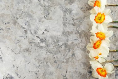 Bahar ruh kavramsal görüntü. Parlak arka planda mevsimlik çiçekler.