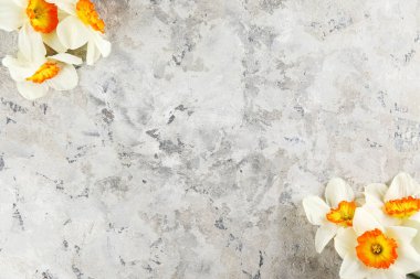 Bahar ruh kavramsal görüntü. Parlak arka planda mevsimlik çiçekler.