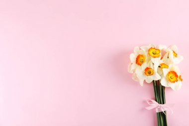 Bahar ruh kavramsal görüntü. Parlak arka planda mevsimlik çiçekler.