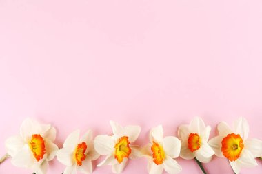 Bahar ruh kavramsal görüntü. Parlak arka planda mevsimlik çiçekler.