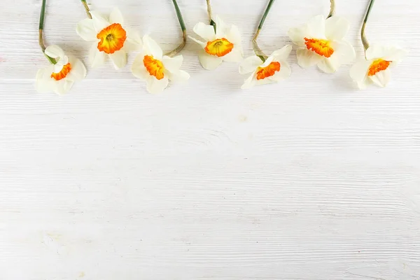 Frühlingsgefühle. Saisonale Blumen auf hellem Hintergrund. — Stockfoto