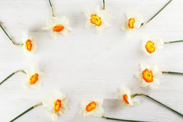 Lente stemming conceptueel beeld. Seizoensgebonden bloemen op heldere achtergrond. — Stockfoto