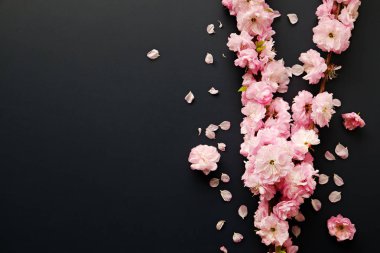 Taze çiçeklerle meyve ağacı dalı.