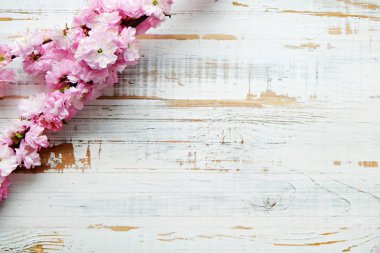 Taze çiçeklerle meyve ağacı dalı.