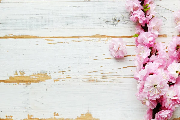 Rama de árboles frutales con flores frescas . — Foto de Stock