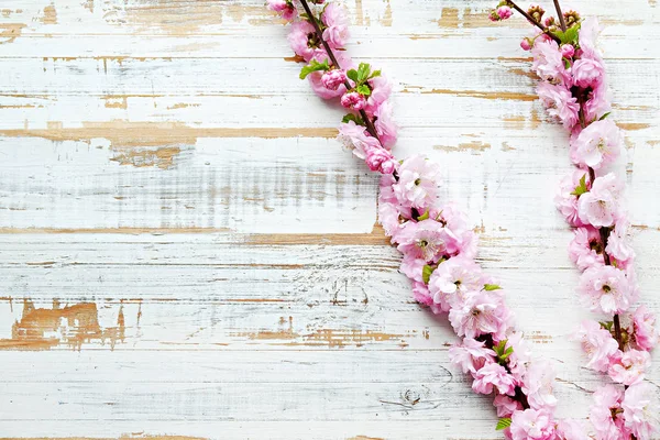 Rama de árboles frutales con flores frescas . — Foto de Stock