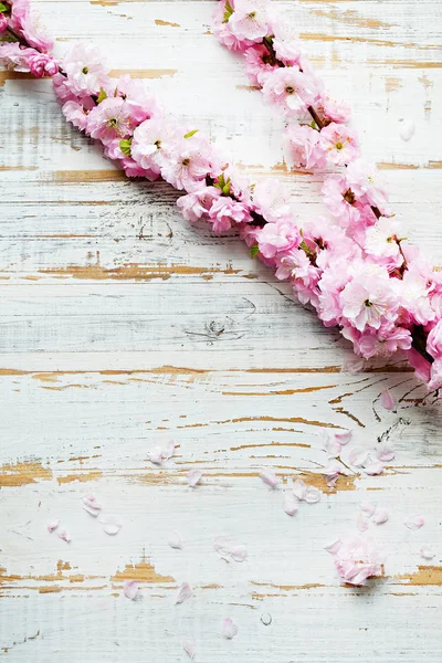 Rama de árboles frutales con flores frescas . — Foto de Stock