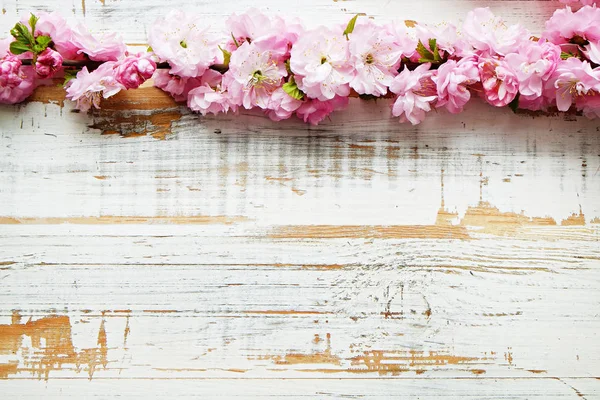 Obstbaumzweig mit frischen Blüten. — Stockfoto