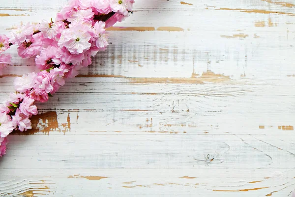 Taze çiçeklerle meyve ağacı dalı.