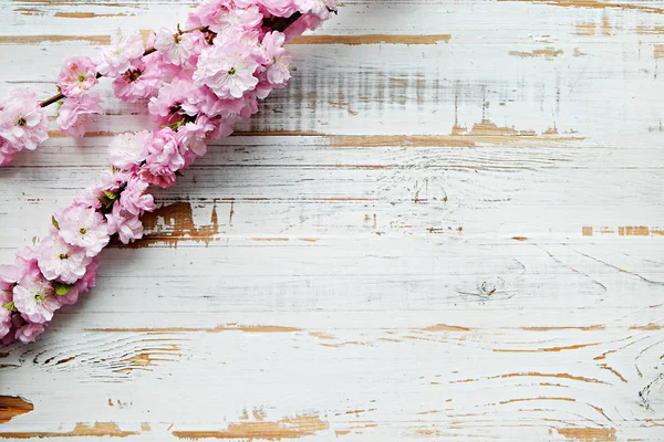 Rama de árboles frutales con flores frescas . — Foto de Stock