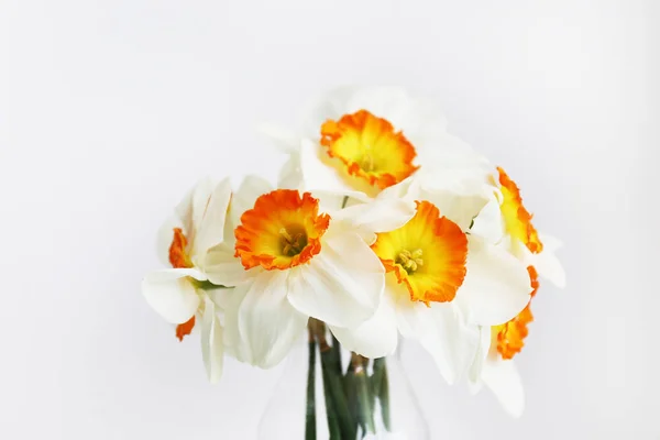 春の気分のコンセプト。テキスト用のコピースペースを持つ白い花の配置. — ストック写真