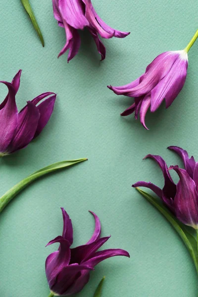 Frühlingshafte Stimmung. lila Blumenarrangements mit viel Kopierraum für Text. — Stockfoto