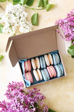 Renkli macaroon kurabiye ile güzel kompozisyon.