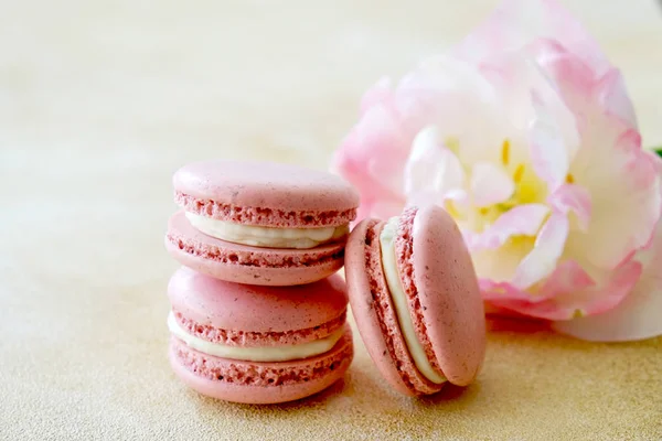 Belle composition avec des biscuits macarons colorés . — Photo