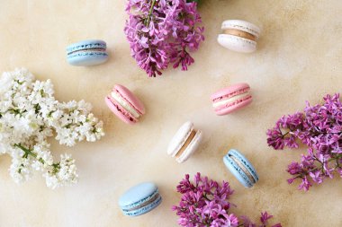 Farklı renk ve tat fransız makarna tatlılar demet minimalist kompozisyon, leylak çiçekli sarı beton doku arka plan üzerinde dağınık. Üstten görünüm, yakın çekim, düz döşeme, kopyalama alanı.