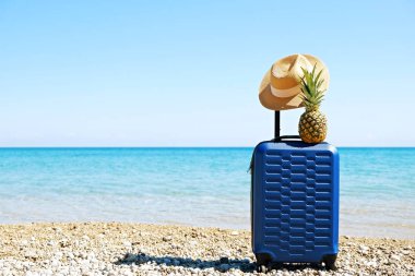 Pinapple deniz suyu arka plan üzerinde plastik bavul üzerinde.