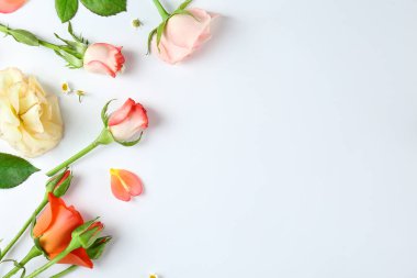 Çiçekler beyaz üzerine izole.