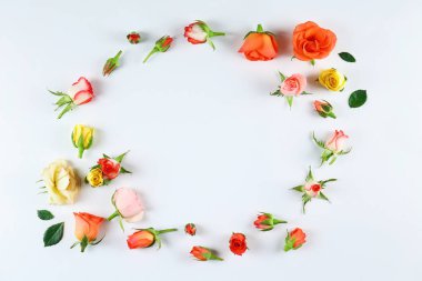 Çiçekler beyaz üzerine izole.