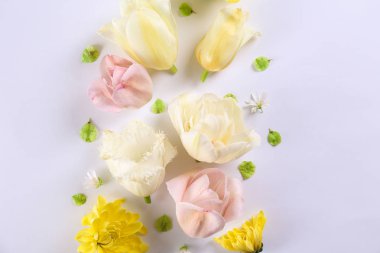 Çiçekler beyaz üzerine izole.