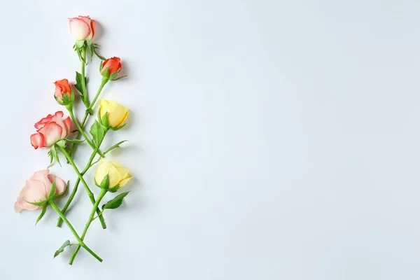 Blommor isolerade på vitt. — Stockfoto