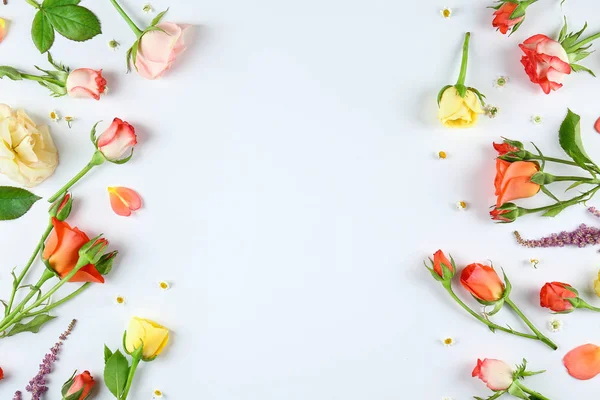 Blommor isolerade på vitt. — Stockfoto