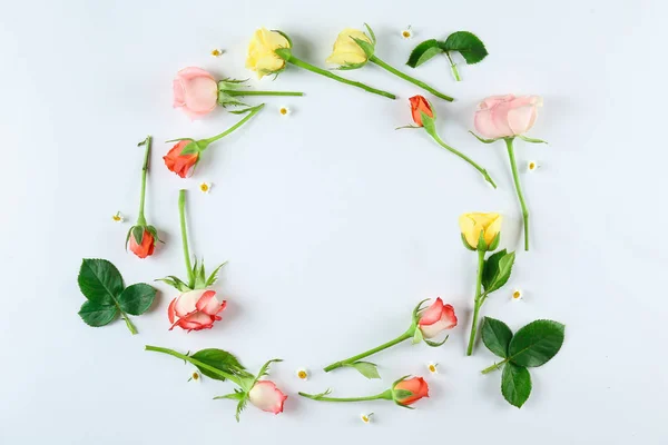 Flores isoladas em branco. — Fotografia de Stock