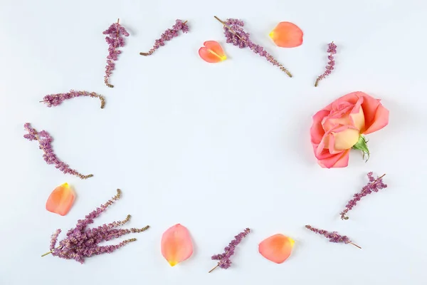 Flowers isolated on white. — Stock Photo, Image