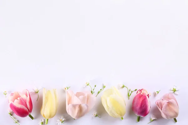 Λουλούδια απομονωμένα σε λευκό. — Φωτογραφία Αρχείου