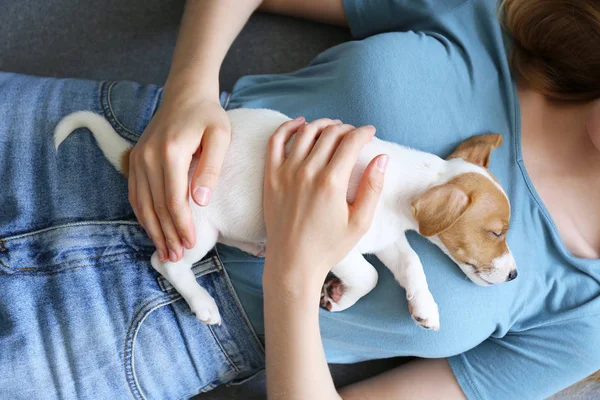 Onu jack russell terrier köpek yavrusu ile genç kadın. — Stok fotoğraf