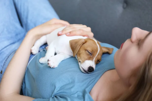 Jovem mulher com seu cachorro jack russell terrier . — Fotografia de Stock