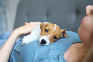 Onu jack russell terrier köpek yavrusu ile genç kadın.