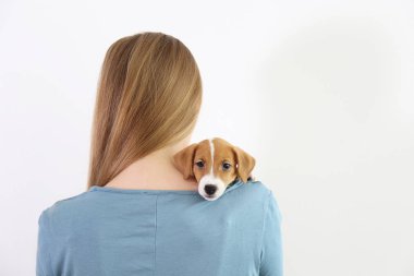 Onu jack russell terrier köpek yavrusu ile genç kadın.