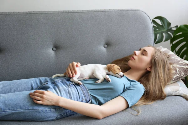 Joven mujer con su gato russell terrier cachorro . — Foto de Stock